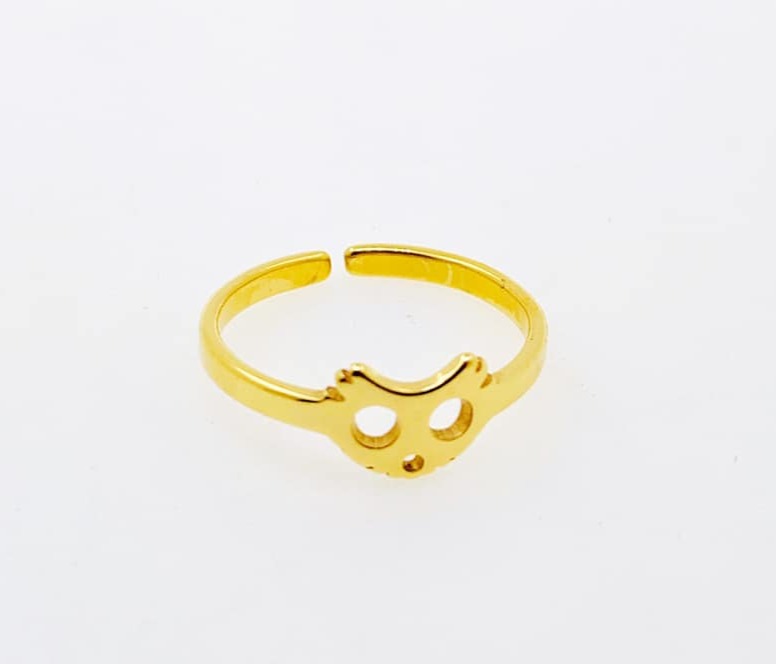 ANIN01
