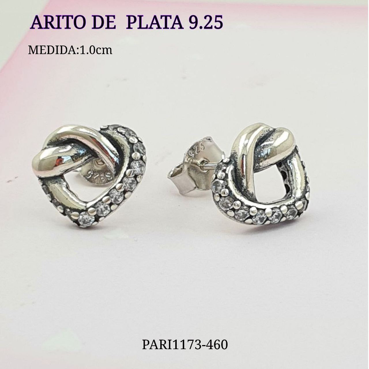 PARI1173