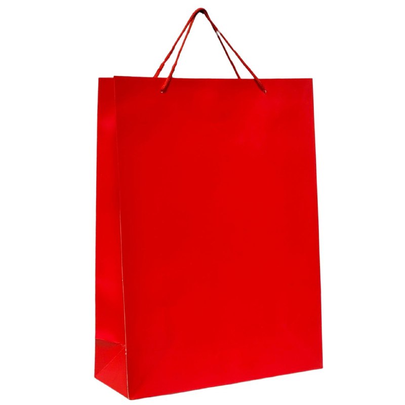 BOLSA DE REGALO DE GRANDE 30X12X41CM