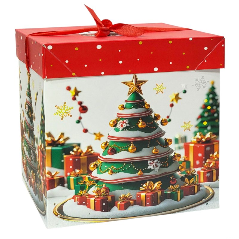 CAJA DE REGALO NAVIDEÑA GRANDE 22X22X22CM