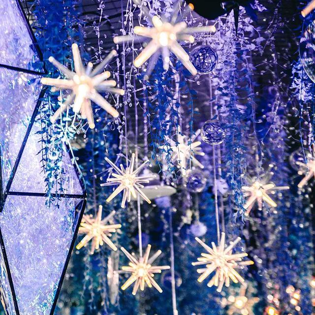LUCES DECORATIVAS NAVIDEÑAS CORTINA DE LUZ LED FORMA DE ESTRELLA DEL NORTE 10 ESTRELLAS