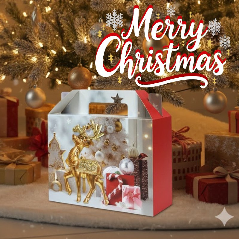 CAJA DE REGALO NAVIDEÑA MEDIANA 12X20X26CM