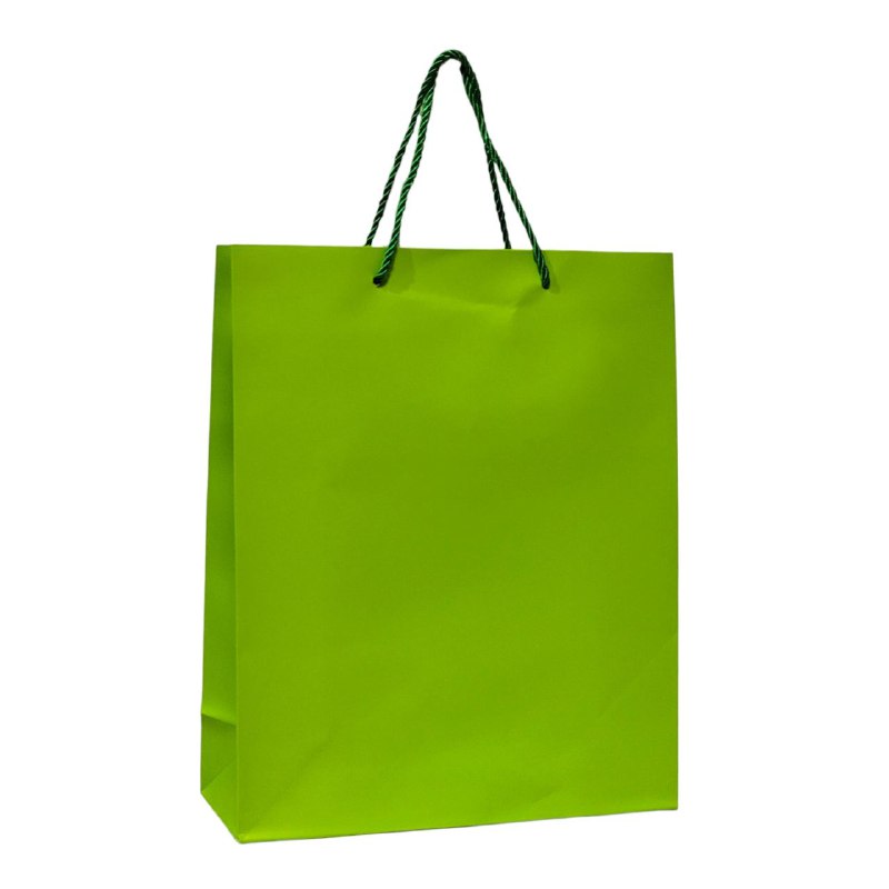 BOLSA DE REGALO MEDIANA 26X32X10CM