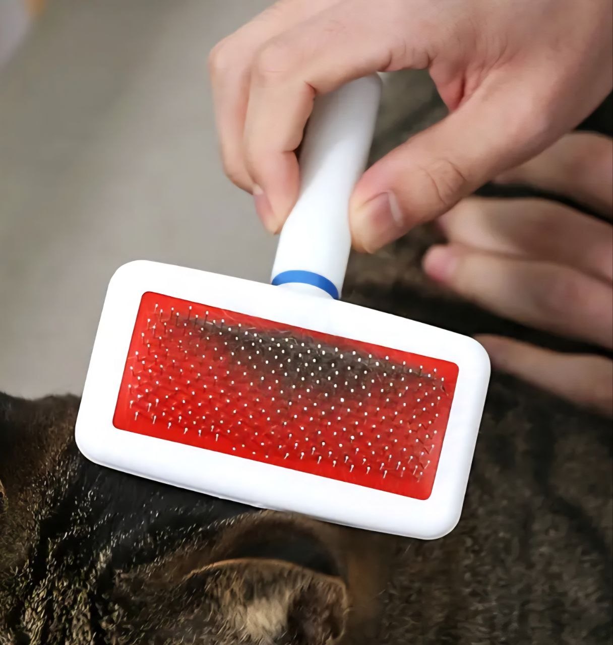 CEPILLO PARA MASCOTAS REMOVEDOR DE PELO SUELTO CON CERDAS METALICAS MUNDO MASCOTA