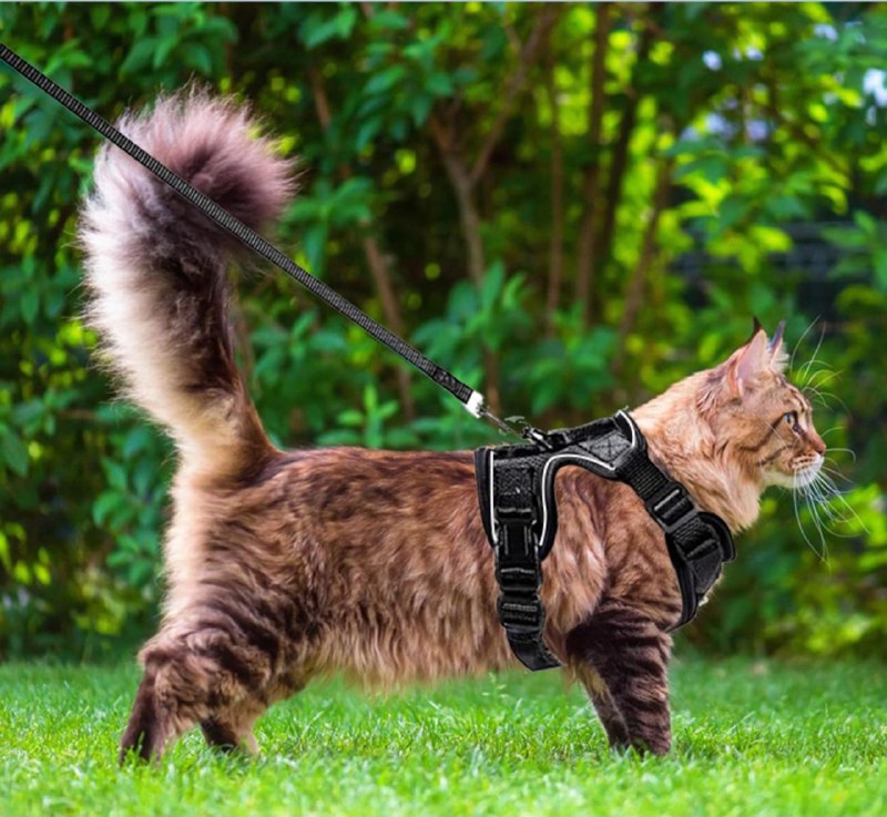 CORREA PARA GATOS O PERROS PEQUEÑOS, ARNES ANTIESCAPE, AJUSTABLE CON CORREA, MALLA SUAVE Y TRANSPIRABLE