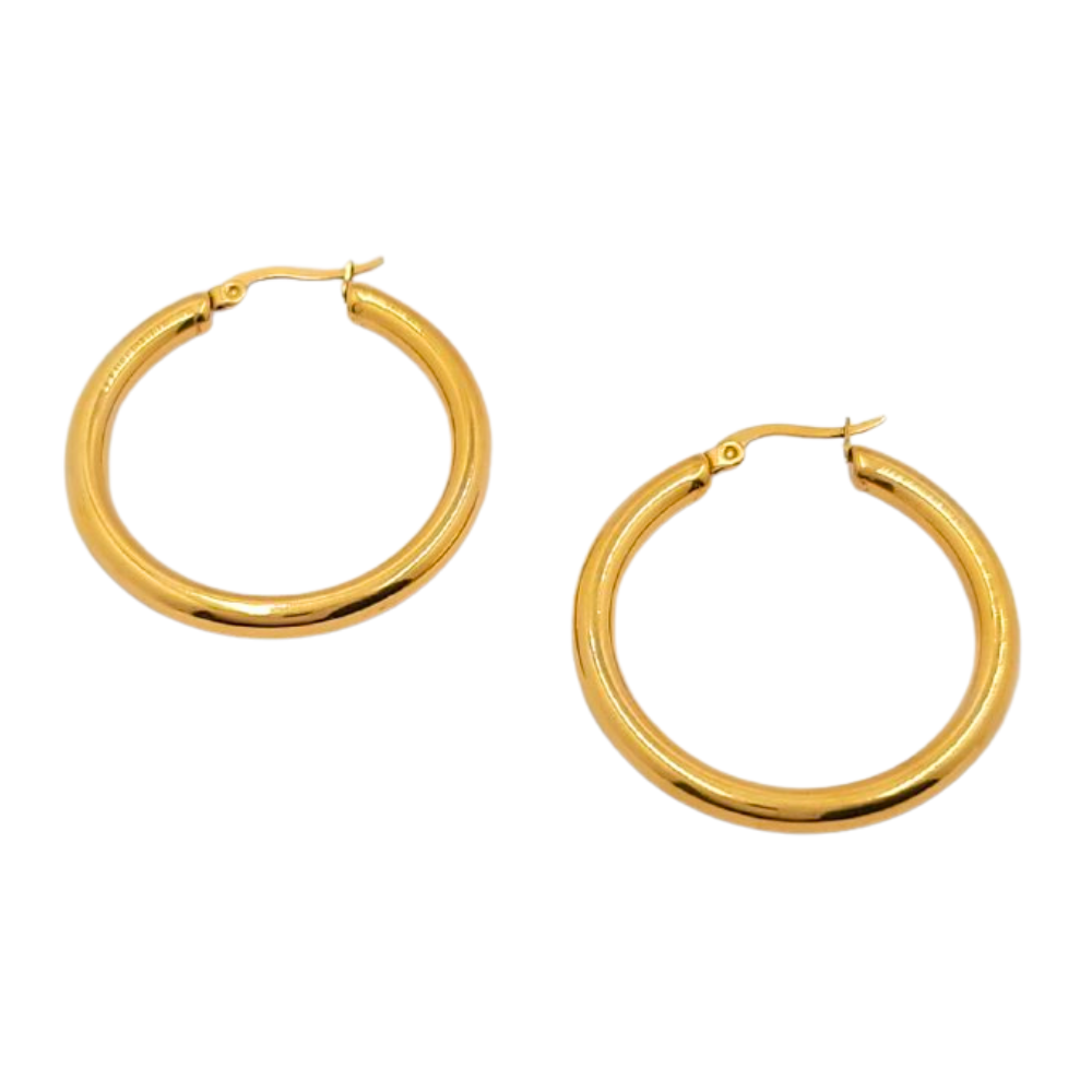 EARGO1329