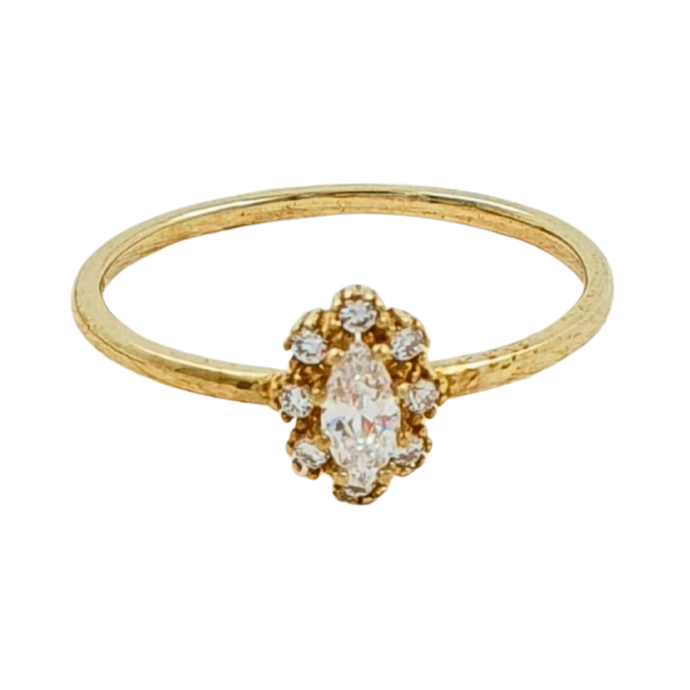 OANI691A$6 FORMA FLOR