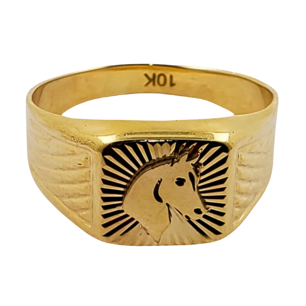 OANI828 FORMA CABALLO