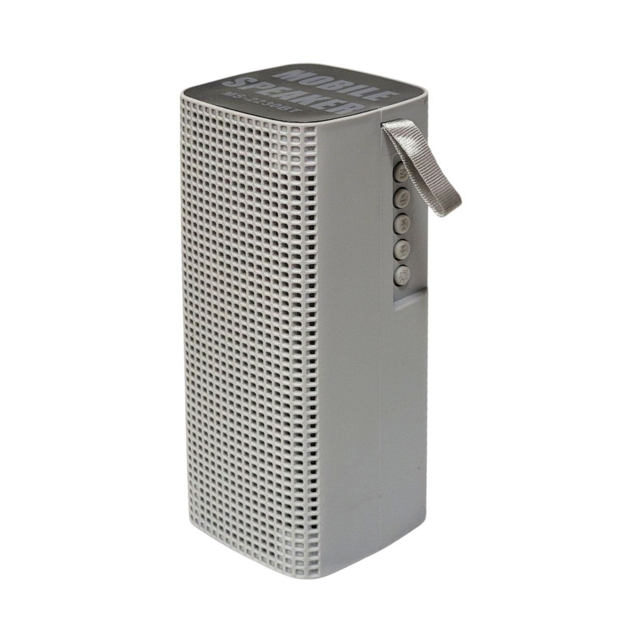 PARLANTE ALTAVOZ INALÁMBRICO PORTÁTIL CON LUCES LED MS-2230BT 17CM