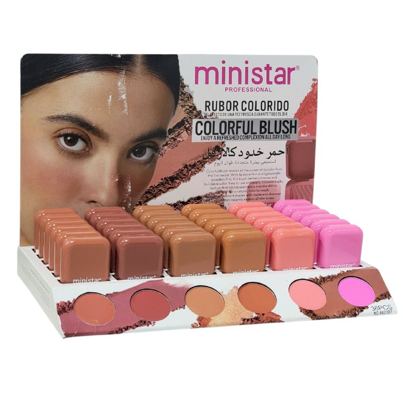 BLUSH COLORIDO DUPE DE NYX EFECTO MATTE DE TEZ FRESCA DURANTE TODO EL DIA MINISTAR 8G