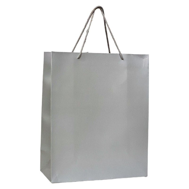 BOLSA DE REGALO MEDIANA 26X32X10CM
